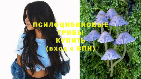 соль курить ск Армянск