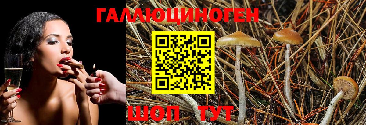 Можга  Псилоцибиновые грибы Cubensis  Вход с VPN  Псилоцибиновые грибы ЛСД 